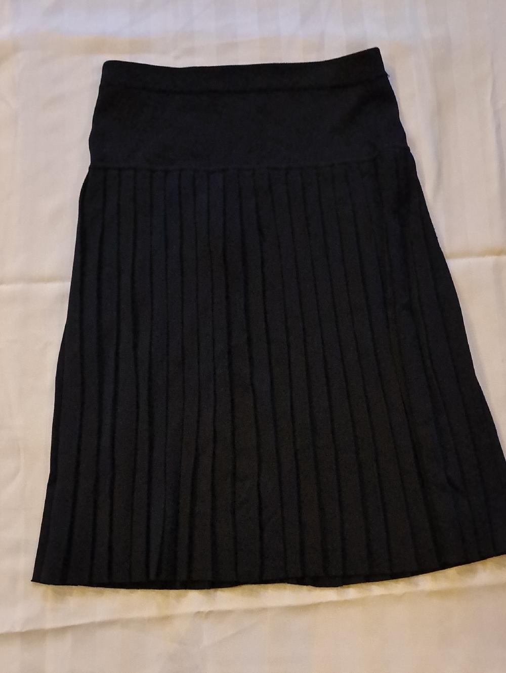 Classic Black Pleated Women's Skirt